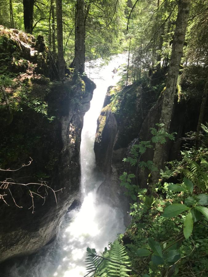 Kleine Ferienwohnung Am Rande Der Wildnis Sibratsgfäll Kültér fotó