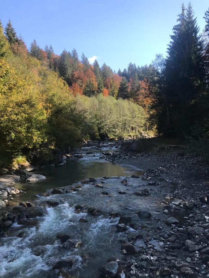 Kleine Ferienwohnung Am Rande Der Wildnis Sibratsgfäll Kültér fotó